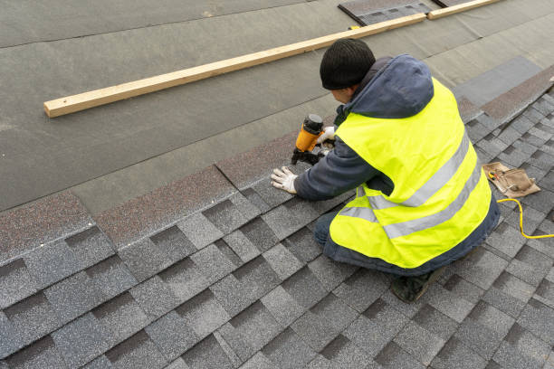 Best Local Roofing Companies  in Rosenhayn, NJ
