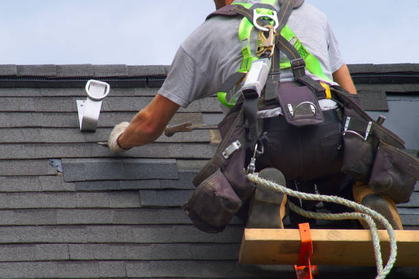 Best Storm Damage Roof Repair  in Rosenhayn, NJ