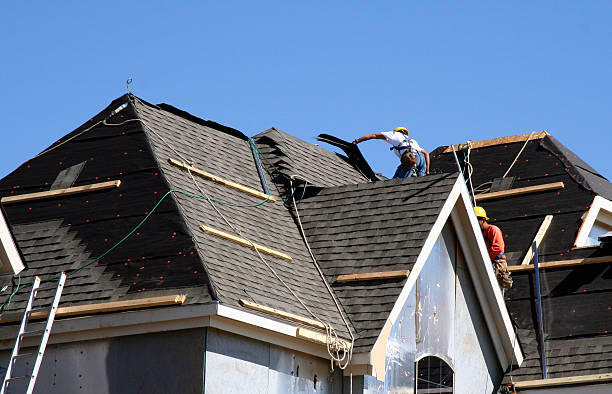 Best Gutter Installation and Roofing  in Rosenhayn, NJ