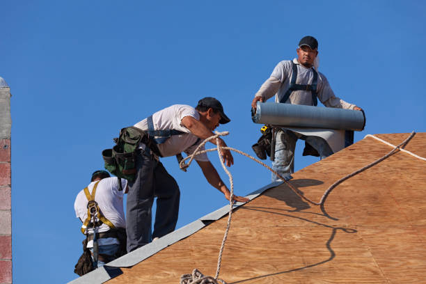 Best Flat Roof Repair Services  in Rosenhayn, NJ